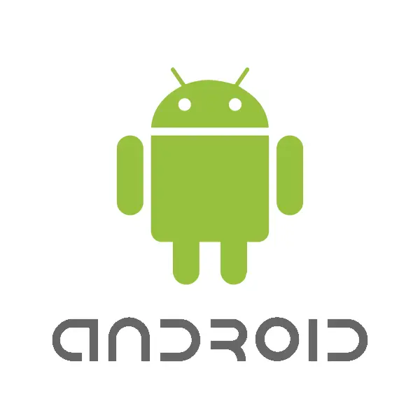 Instalare Deviz Instalator pe Android